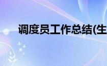 调度员工作总结(生产调度员工作总结)