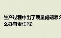 生产过程中出了质量问题怎么办(生产过程中出了质量问题怎么办有责任吗)