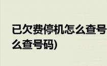 已欠费停机怎么查号码(老年机已欠费停机怎么查号码)