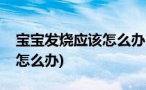 宝宝发烧应该怎么办(三个月的宝宝发烧应该怎么办)