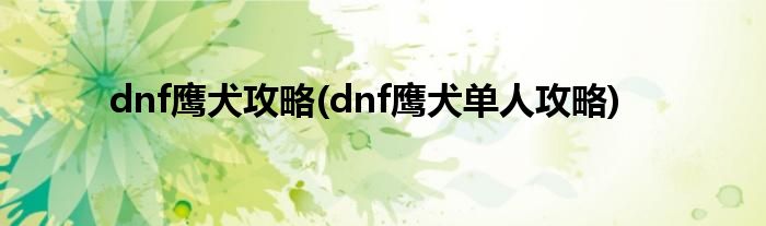 dnf鹰犬攻略(dnf鹰犬单人攻略)