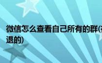 微信怎么查看自己所有的群(微信怎么查看自己所有的群包括退的)