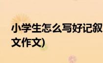 小学生怎么写好记叙文(小学生怎么写好记叙文作文)