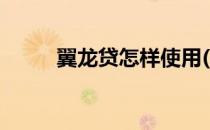 翼龙贷怎样使用(翼龙贷百度贴吧)
