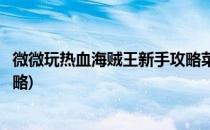 微微玩热血海贼王新手攻略菜鸟必看(热血航线海贼王新手攻略)