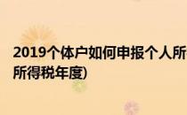 2019个体户如何申报个人所得税(2019个体户如何申报个人所得税年度)