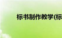 标书制作教学(标书制作教学软件)