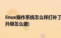 linux操作系统怎么样打补丁linux系统升级软件(linux补丁升级怎么做)