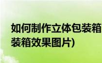 如何制作立体包装箱效果图(如何制作立体包装箱效果图片)