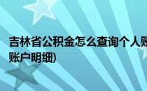 吉林省公积金怎么查询个人账户(吉林省公积金怎么查询个人账户明细)