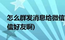 怎么群发消息给微信好友(怎么群发消息给微信好友啊)