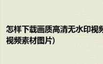 怎样下载画质高清无水印视频素材(怎样下载画质高清无水印视频素材图片)