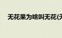 无花果为啥叫无花(无花果为什么叫无花)