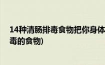 14种清肠排毒食物把你身体内的毒素一扫而清(清理肠道排毒的食物)