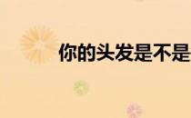 你的头发是不是每天都在掉落啊