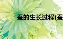 蚕的生长过程(蚕的生长过程记录)