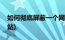 如何彻底屏蔽一个网站(如何彻底屏蔽一个网站)