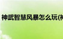 神武智慧风暴怎么玩(神武智慧风暴怎么玩的)
