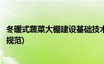 冬暖式蔬菜大棚建设基础技术(冬暖式蔬菜大棚建设基础技术规范)