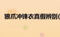 狼爪冲锋衣真假辨别(狼爪冲锋衣真假鉴别)