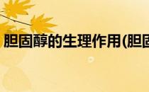 胆固醇的生理作用(胆固醇的生理作用不包括)