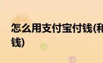 怎么用支付宝付钱(和平精英怎么用支付宝付钱)