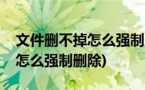 文件删不掉怎么强制删除(win11文件删不掉怎么强制删除)