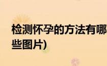 检测怀孕的方法有哪些(检测怀孕的方法有哪些图片)