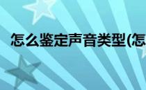 怎么鉴定声音类型(怎么鉴定声音类型大小)