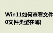Win11如何查看文件系统的类型(windows10文件类型在哪)