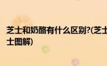 芝士和奶酪有什么区别?(芝士和奶酪有什么区别?史上最全芝士图解)