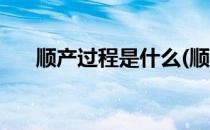 顺产过程是什么(顺产过程是什么感觉)