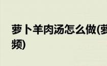 萝卜羊肉汤怎么做(萝卜羊肉汤怎么做好喝视频)