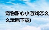 宠物甜心小游戏怎么玩呢(宠物甜心小游戏怎么玩呢下载)