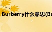 Burberry什么意思(Burberry什么意思中文)