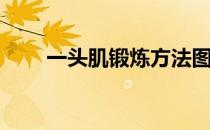 一头肌锻炼方法图解(一头肌训练法)