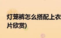 灯笼裤怎么搭配上衣(灯笼裤怎么搭配上衣图片欣赏)