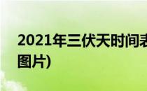 2021年三伏天时间表(2021年三伏天时间表图片)