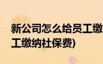 新公司怎么给员工缴纳社保(新公司怎么给员工缴纳社保费)