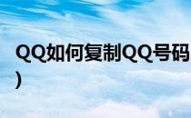 QQ如何复制QQ号码(怎样用qq复制电话号码)