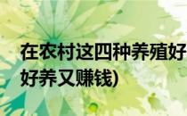 在农村这四种养殖好养又赚钱(农村养殖什么好养又赚钱)