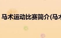 马术运动比赛简介(马术运动比赛简介怎么写)