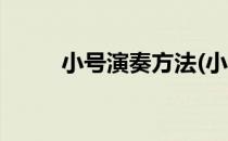 小号演奏方法(小号演奏方法视频)