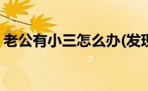 老公有小三怎么办(发现老公有小三该怎么办)