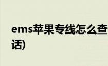 ems苹果专线怎么查询(ems苹果专线查询电话)
