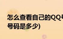 怎么查看自己的QQ号码(怎么查看自己的qq号码是多少)