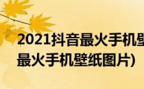2021抖音最火手机壁纸如何设置(2021抖音最火手机壁纸图片)