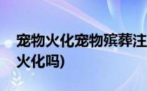 宠物火化宠物殡葬注意事项(火葬场能给宠物火化吗)