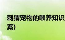刺猬宠物的喂养知识(刺猬宠物的喂养知识教案)