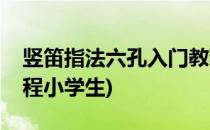 竖笛指法六孔入门教程(竖笛指法八孔入门教程小学生)